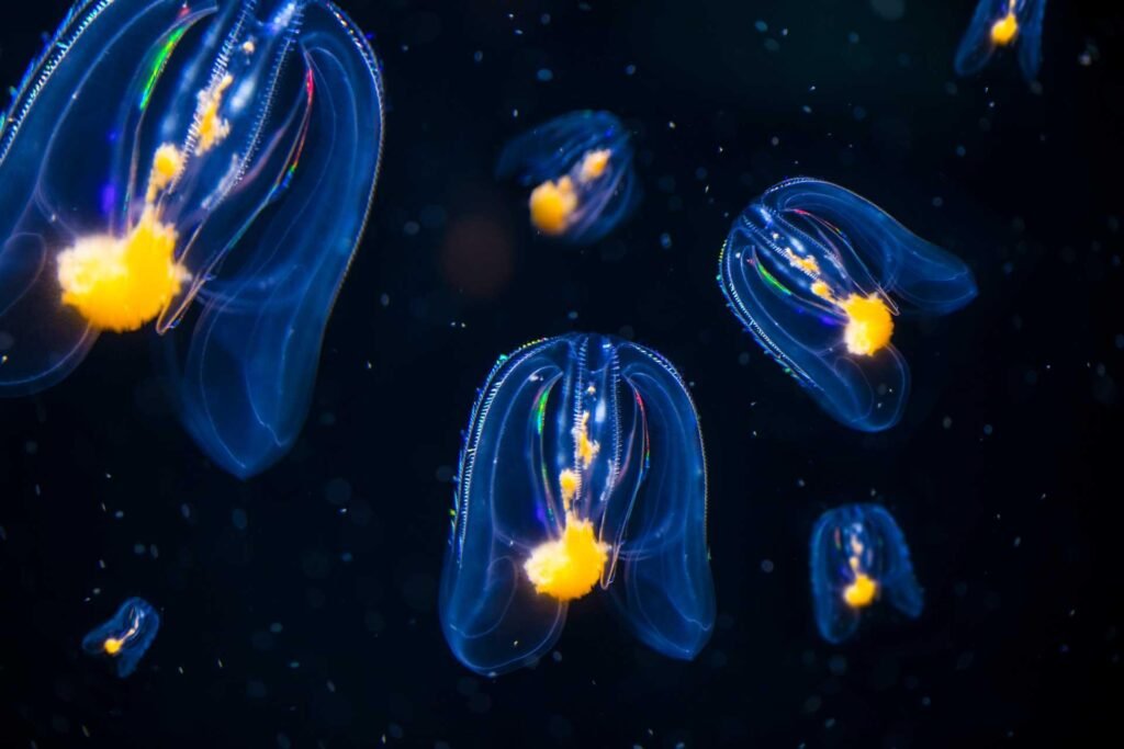Bioluminescent ocean creatures glowing in the dark underwater