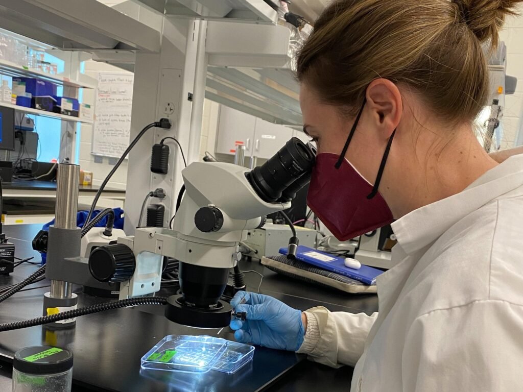 Scientists examining microplastic particles in a laboratory sample